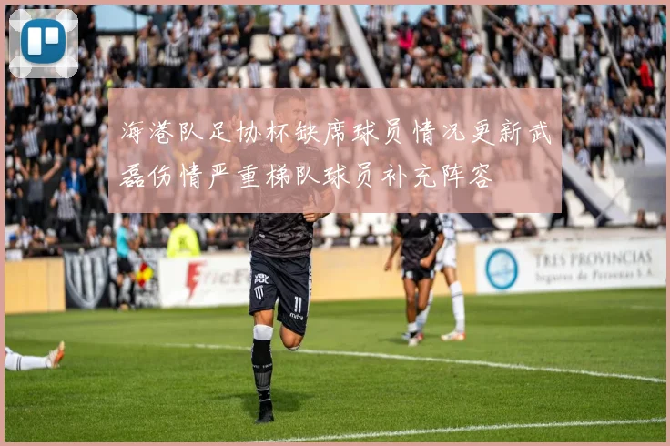 海港队足协杯缺席球员情况更新武磊伤情严重梯队球员补充阵容